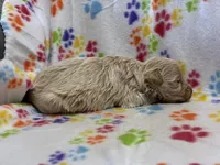 processed/51929e79-a407-464c-9f23-3ae6173c80a6/listing/1076e214-53bb-4e11-89b0-150e09c0e603/dbaf8f65-97b7-4aea-81fb-c7bd0797909c