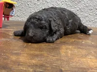 processed/51929e79-a407-464c-9f23-3ae6173c80a6/listing/2fa24b71-0d43-4b3a-80ac-57a6418b2e7d/1b0b27eb-5b76-4af3-8c9a-f01a1ea77ba0