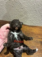 processed/51929e79-a407-464c-9f23-3ae6173c80a6/listing/2fa24b71-0d43-4b3a-80ac-57a6418b2e7d/260ecefb-b0e7-48a2-b246-192aec03bb44