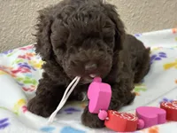 processed/51929e79-a407-464c-9f23-3ae6173c80a6/listing/2fa24b71-0d43-4b3a-80ac-57a6418b2e7d/3217c6f9-e40e-43dd-bb31-0a7b236d24ea