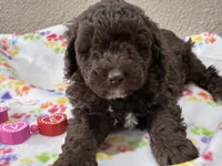 processed/51929e79-a407-464c-9f23-3ae6173c80a6/listing/2fa24b71-0d43-4b3a-80ac-57a6418b2e7d/6aefff9b-0e05-40e9-a511-62e05143cdad