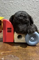 processed/51929e79-a407-464c-9f23-3ae6173c80a6/listing/2fa24b71-0d43-4b3a-80ac-57a6418b2e7d/89dd617c-08f7-4715-8ec8-e104d0de5a03