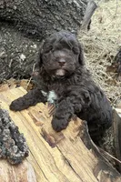 processed/51929e79-a407-464c-9f23-3ae6173c80a6/listing/2fa24b71-0d43-4b3a-80ac-57a6418b2e7d/adcd51ef-2540-4817-9c49-8b9850e9c699