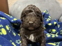 processed/51929e79-a407-464c-9f23-3ae6173c80a6/listing/2fa24b71-0d43-4b3a-80ac-57a6418b2e7d/c2f4417d-62f5-4a69-87ff-6eb65c1589ce