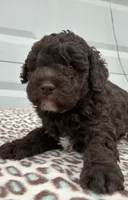 processed/51929e79-a407-464c-9f23-3ae6173c80a6/listing/2fa24b71-0d43-4b3a-80ac-57a6418b2e7d/d56d91be-cf50-4337-a4ca-464551039c91