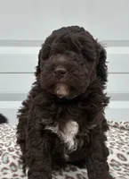 processed/51929e79-a407-464c-9f23-3ae6173c80a6/listing/2fa24b71-0d43-4b3a-80ac-57a6418b2e7d/d7bf1b87-a17b-45a2-85bd-1213281eb504