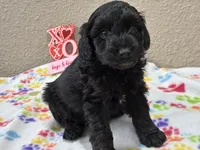 processed/51929e79-a407-464c-9f23-3ae6173c80a6/listing/35f27078-77d1-459e-924f-16d38068de64/5975b792-22c7-42d2-b1c8-f12e6a79f20b