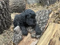 processed/51929e79-a407-464c-9f23-3ae6173c80a6/listing/35f27078-77d1-459e-924f-16d38068de64/5f5abea5-c886-4fa6-8d2e-a7325d55db1c