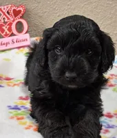 processed/51929e79-a407-464c-9f23-3ae6173c80a6/listing/35f27078-77d1-459e-924f-16d38068de64/aecffa84-92fb-4e2c-9953-4b75b4fc48fb