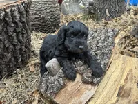 processed/51929e79-a407-464c-9f23-3ae6173c80a6/listing/35f27078-77d1-459e-924f-16d38068de64/bfeb023c-b977-417c-b434-54ff84695e0a