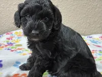 processed/51929e79-a407-464c-9f23-3ae6173c80a6/listing/35f27078-77d1-459e-924f-16d38068de64/e7f13f5e-e002-4906-833a-8f2f94f2efaa