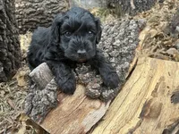 processed/51929e79-a407-464c-9f23-3ae6173c80a6/listing/35f27078-77d1-459e-924f-16d38068de64/f2aa1a0f-b585-4501-a07b-ec3da719dbfa