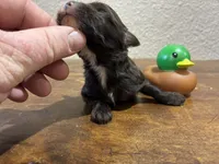 processed/51929e79-a407-464c-9f23-3ae6173c80a6/listing/71c23c4c-e412-46be-b1ee-8ee3a9e451f6/0f032bad-0b3c-4822-942f-24094857717c