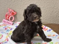 processed/51929e79-a407-464c-9f23-3ae6173c80a6/listing/71c23c4c-e412-46be-b1ee-8ee3a9e451f6/59fe38f8-ffcd-4cc9-a1fc-1ab4b8504c86