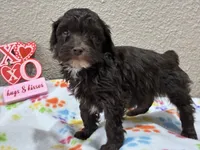 processed/51929e79-a407-464c-9f23-3ae6173c80a6/listing/71c23c4c-e412-46be-b1ee-8ee3a9e451f6/7212c124-025c-489a-a77f-73d2de271421