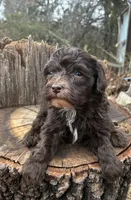 processed/51929e79-a407-464c-9f23-3ae6173c80a6/listing/71c23c4c-e412-46be-b1ee-8ee3a9e451f6/7745bbc3-3266-4786-a584-929012700728