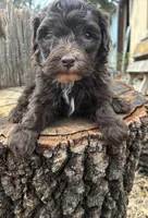 processed/51929e79-a407-464c-9f23-3ae6173c80a6/listing/71c23c4c-e412-46be-b1ee-8ee3a9e451f6/958f95a4-b3f0-4c47-8746-137cb2e7efd4