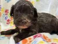 processed/51929e79-a407-464c-9f23-3ae6173c80a6/listing/71c23c4c-e412-46be-b1ee-8ee3a9e451f6/a6b67a22-7f0a-4fda-8a86-295324aabd16