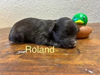 processed/51929e79-a407-464c-9f23-3ae6173c80a6/listing/71c23c4c-e412-46be-b1ee-8ee3a9e451f6/bd9afe9d-95f7-48a9-8c29-0aa1783de348