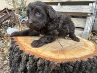 processed/51929e79-a407-464c-9f23-3ae6173c80a6/listing/7be0700f-e1f5-4537-bc88-d553bd1c95a4/0d4c26bd-99f8-421a-9ddf-468c3764377e