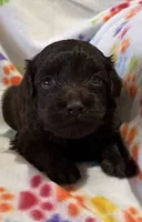 processed/51929e79-a407-464c-9f23-3ae6173c80a6/listing/7be0700f-e1f5-4537-bc88-d553bd1c95a4/4d64e006-99b9-4ce9-99c0-1e06c5bc6da2