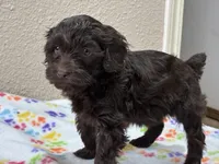 processed/51929e79-a407-464c-9f23-3ae6173c80a6/listing/7be0700f-e1f5-4537-bc88-d553bd1c95a4/50a792a3-b738-4daa-85a6-383bf5424a07