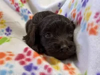 processed/51929e79-a407-464c-9f23-3ae6173c80a6/listing/7be0700f-e1f5-4537-bc88-d553bd1c95a4/58292de6-47e7-479c-90e4-038cb0b488e8