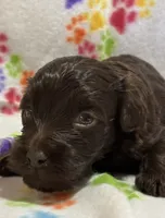 processed/51929e79-a407-464c-9f23-3ae6173c80a6/listing/7be0700f-e1f5-4537-bc88-d553bd1c95a4/675a9725-a8b9-4a08-bf7c-56a64dd7d39b