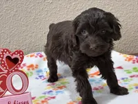 processed/51929e79-a407-464c-9f23-3ae6173c80a6/listing/7be0700f-e1f5-4537-bc88-d553bd1c95a4/80f54e4f-996f-4486-b64f-cbfcc47d5f18