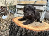 processed/51929e79-a407-464c-9f23-3ae6173c80a6/listing/7be0700f-e1f5-4537-bc88-d553bd1c95a4/c80ac9b8-d4bc-47bb-be32-b46768f67464