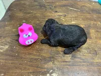 processed/51929e79-a407-464c-9f23-3ae6173c80a6/listing/8c3292e5-0d7a-416a-a79c-349ee41f6d15/3a761f72-fabb-40b7-8526-4c30a4e07773