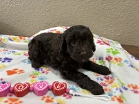 processed/51929e79-a407-464c-9f23-3ae6173c80a6/listing/8c3292e5-0d7a-416a-a79c-349ee41f6d15/4326db17-1086-4dd2-8da3-3a6d9b2b9396