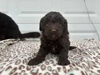 processed/51929e79-a407-464c-9f23-3ae6173c80a6/listing/8c3292e5-0d7a-416a-a79c-349ee41f6d15/690a7c4d-962d-42fb-891a-2a4aef7ffb47