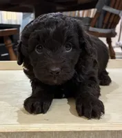 processed/51929e79-a407-464c-9f23-3ae6173c80a6/listing/8c3292e5-0d7a-416a-a79c-349ee41f6d15/9b93448e-ab95-472e-af08-7a937ae33993