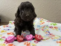 processed/51929e79-a407-464c-9f23-3ae6173c80a6/listing/8c3292e5-0d7a-416a-a79c-349ee41f6d15/9ed1d4cc-d2df-4526-b611-b0c5bb6d436e