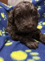 processed/51929e79-a407-464c-9f23-3ae6173c80a6/listing/8c3292e5-0d7a-416a-a79c-349ee41f6d15/c8a33892-4127-4ee0-9916-4099ccef8894