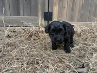 processed/51929e79-a407-464c-9f23-3ae6173c80a6/listing/9d8c410c-5014-4e20-a80f-15d2ef5ffd6d/0a6fb53e-b2b6-41d5-b0c2-a605bc5b6088