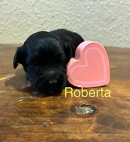 processed/51929e79-a407-464c-9f23-3ae6173c80a6/listing/9d8c410c-5014-4e20-a80f-15d2ef5ffd6d/3498239b-1805-4d27-b45d-e80983f942a5