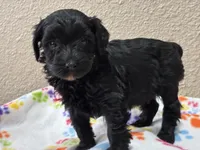 processed/51929e79-a407-464c-9f23-3ae6173c80a6/listing/9d8c410c-5014-4e20-a80f-15d2ef5ffd6d/3bfc25c6-f15f-4613-95a9-b2b7abe83085