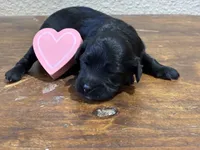 processed/51929e79-a407-464c-9f23-3ae6173c80a6/listing/9d8c410c-5014-4e20-a80f-15d2ef5ffd6d/55b2d35b-17cf-4c18-8177-593d8ce4a5a2