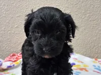 processed/51929e79-a407-464c-9f23-3ae6173c80a6/listing/9d8c410c-5014-4e20-a80f-15d2ef5ffd6d/6f57bc5f-18e4-4923-9f2c-c6bc516039d2