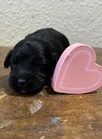 processed/51929e79-a407-464c-9f23-3ae6173c80a6/listing/9d8c410c-5014-4e20-a80f-15d2ef5ffd6d/71f47f24-3daa-4af9-8fb6-ab44423d1893