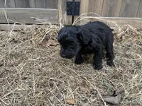 processed/51929e79-a407-464c-9f23-3ae6173c80a6/listing/9d8c410c-5014-4e20-a80f-15d2ef5ffd6d/73f02442-7278-430e-b418-96d228543f26