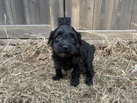 processed/51929e79-a407-464c-9f23-3ae6173c80a6/listing/9d8c410c-5014-4e20-a80f-15d2ef5ffd6d/d6efc618-7117-4712-b5be-ee3c062f0524