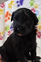 processed/51929e79-a407-464c-9f23-3ae6173c80a6/listing/9d8c410c-5014-4e20-a80f-15d2ef5ffd6d/f4318bfd-019d-4af6-b02a-dc0d18b20df5