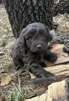 processed/51929e79-a407-464c-9f23-3ae6173c80a6/listing/f3e0f3fa-4169-4f75-a04d-e3eab2dd8fe8/437bdc44-c051-483f-bfed-3d933e57f335