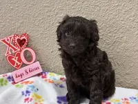 processed/51929e79-a407-464c-9f23-3ae6173c80a6/listing/f3e0f3fa-4169-4f75-a04d-e3eab2dd8fe8/443405fb-cb80-40a0-94fe-a0592874b180