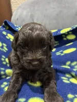 processed/51929e79-a407-464c-9f23-3ae6173c80a6/listing/f3e0f3fa-4169-4f75-a04d-e3eab2dd8fe8/4717a3f9-a23d-44f9-9cbf-463f84925b61