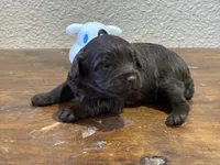 processed/51929e79-a407-464c-9f23-3ae6173c80a6/listing/f3e0f3fa-4169-4f75-a04d-e3eab2dd8fe8/72898228-0d6d-495f-bde0-69497eb2c8e8