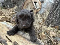 processed/51929e79-a407-464c-9f23-3ae6173c80a6/listing/f3e0f3fa-4169-4f75-a04d-e3eab2dd8fe8/77c34b89-72b9-47d3-becc-c6492a7b9a25